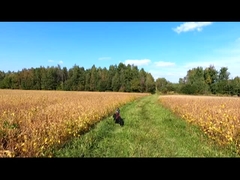 Festflügelvertikaler Drohnen-UAV-Überwachung Kartierung Landwirtschaftliche Industrieflugzeuge